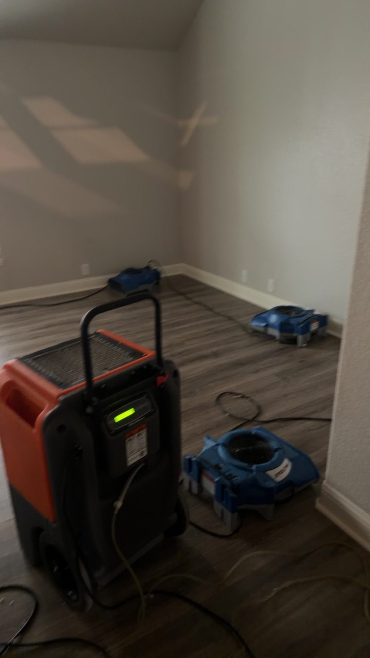 Professional mold containment with red, green, and blue zipper-door tape barriers separating affected work area